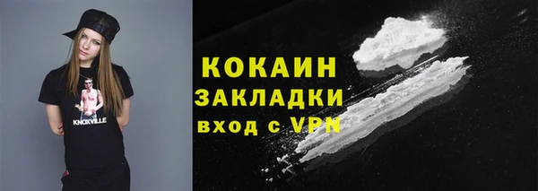 прущий лед Алзамай