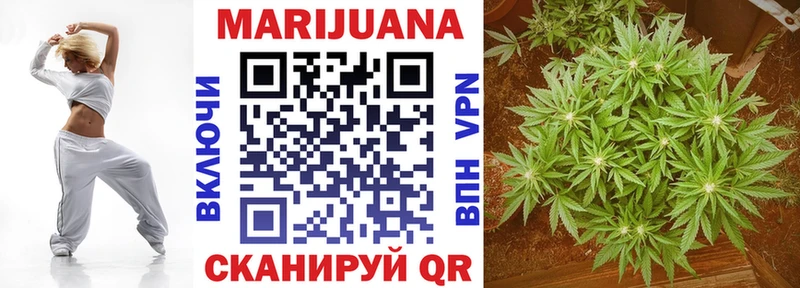 где продают   Кудрово  Бошки марихуана OG Kush 